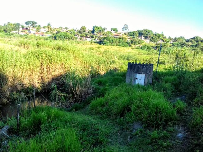 Furtados cabos elétricos da bomba que abastece de água o jardim oriental